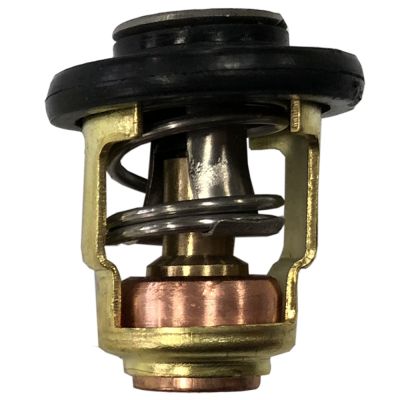Thermostat 60° Yamaha 6G8-12411-01/66M-12411-01 Seamaster 02765-YH004