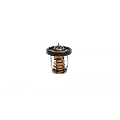Suzuki Rec17670-94J01 Thermostat 60° Seamaster 02772-SK005